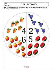 kavram gelişim çalışmaları sayılar